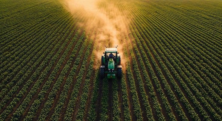 El Niño en la Mesa: Cómo el Clima de 2026 Pone  a Prueba (Otra Vez) la Resiliencia del Agro  Venezolano