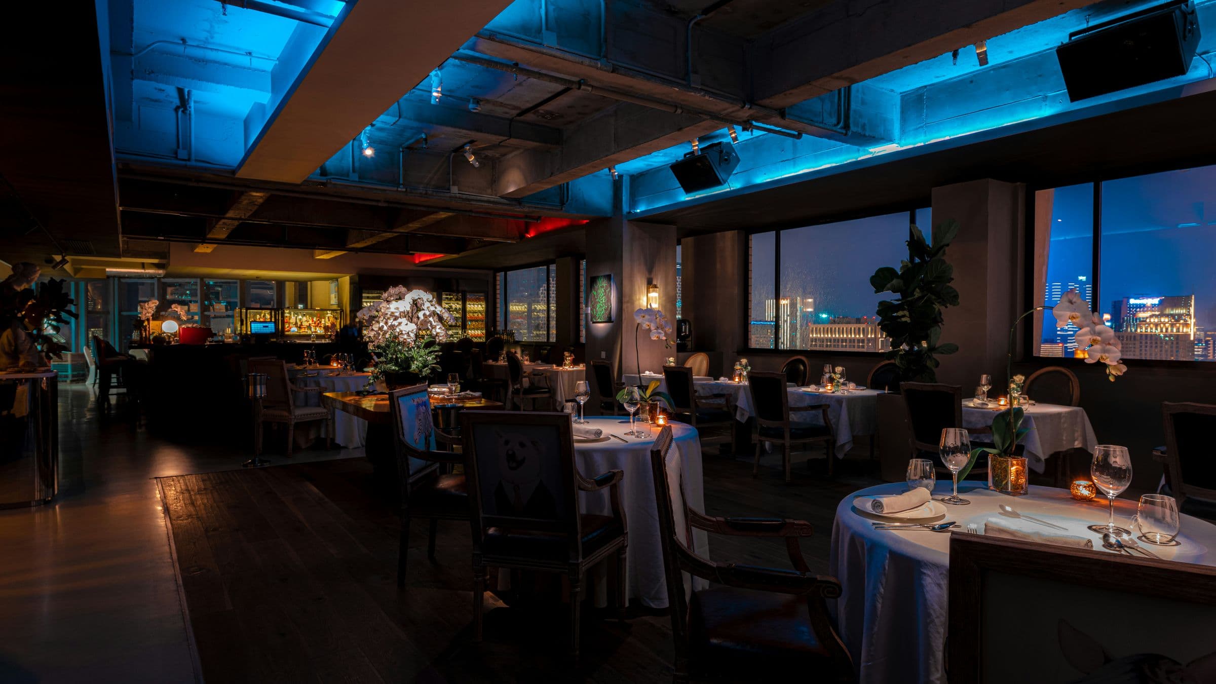 La Mesa Está Servida: Profesionalizarse Hoy o Cederle el Puesto al Mercado que Viene